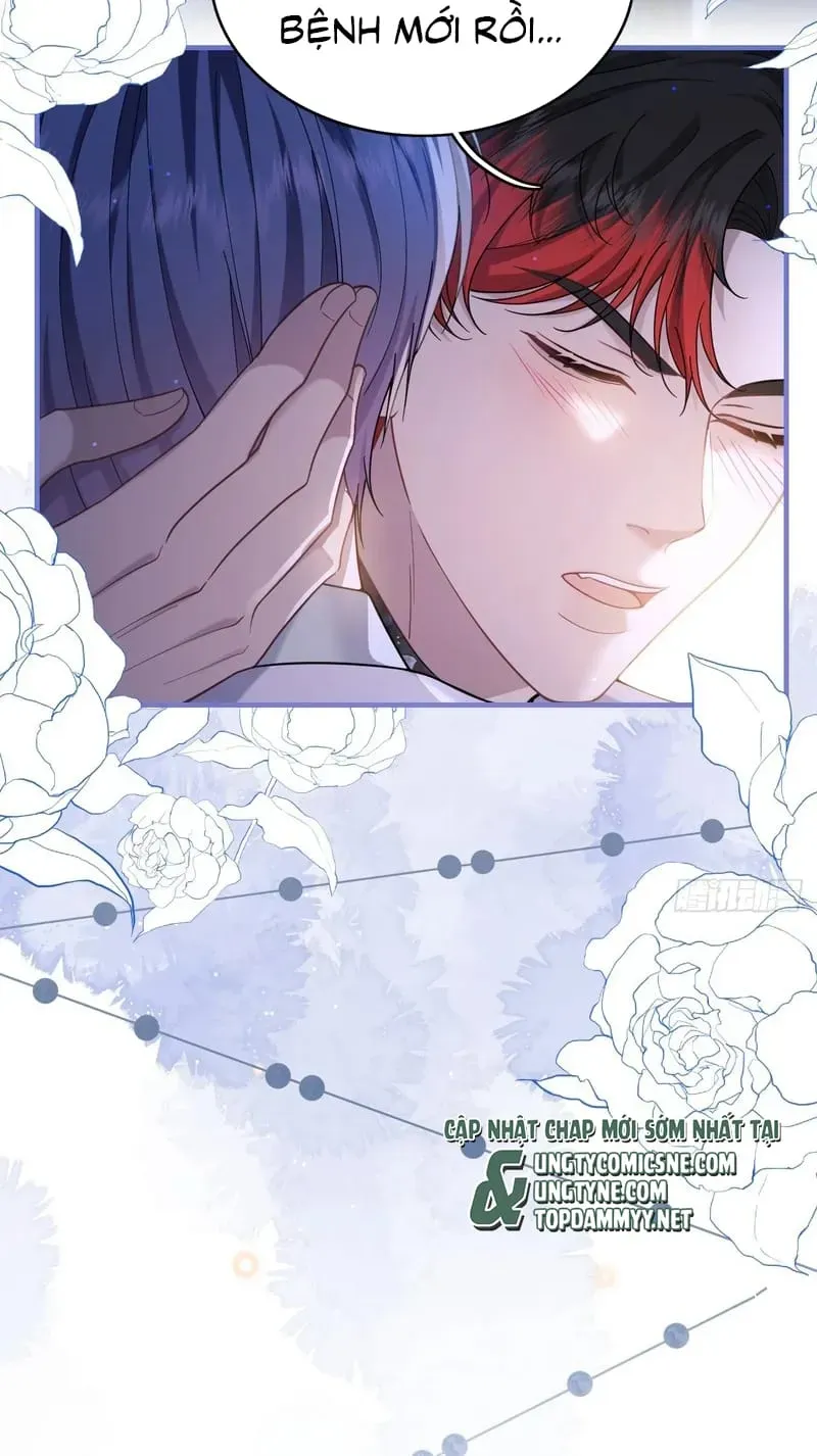 Tôi Cố Ý Giả Vờ Chap 24 - Next Chap 23