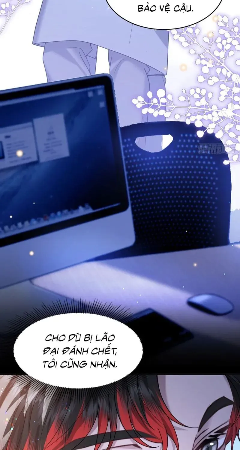 Tôi Cố Ý Giả Vờ Chap 26 - Next Chap 25