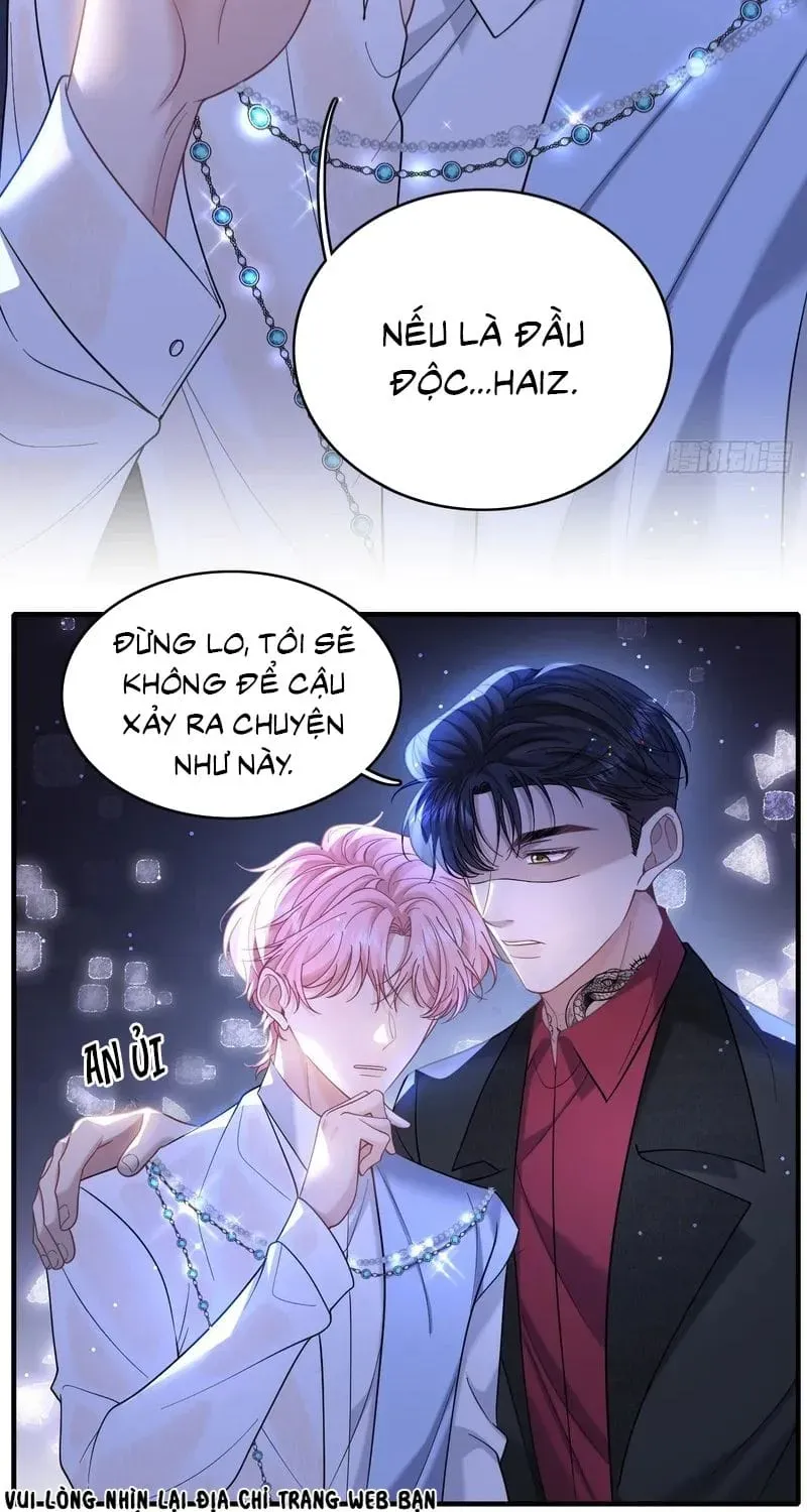 Tôi Cố Ý Giả Vờ Chap 28 - Next Chap 27