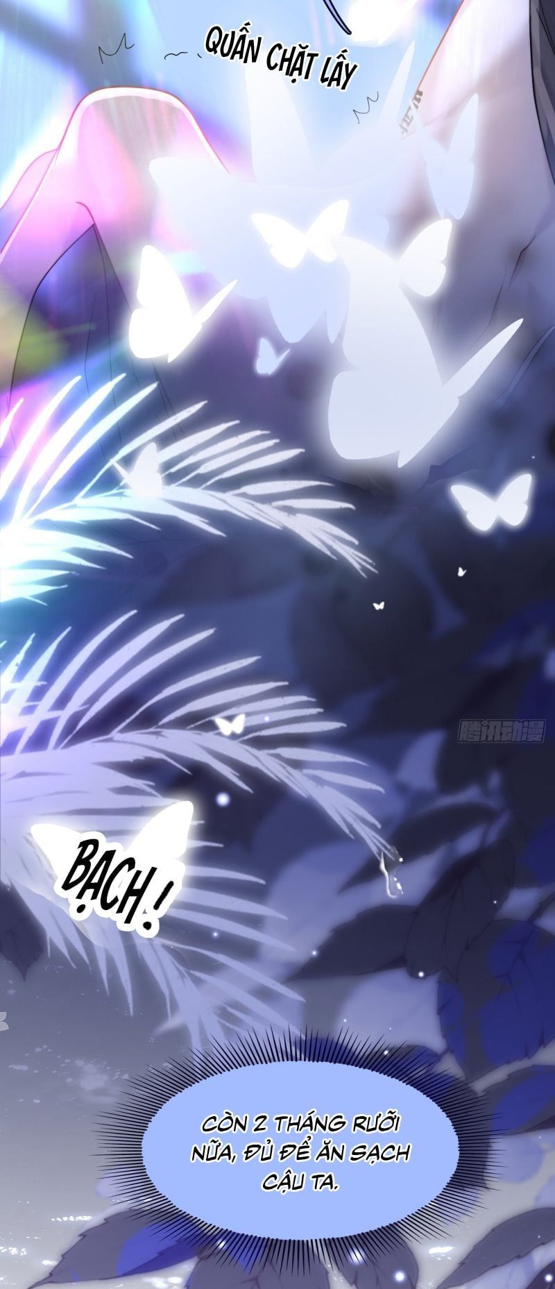 Tôi Cố Ý Giả Vờ Chap 3 - Next Chap 2