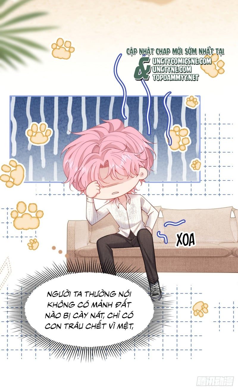 Tôi Cố Ý Giả Vờ Chap 7 - Next Chap 6