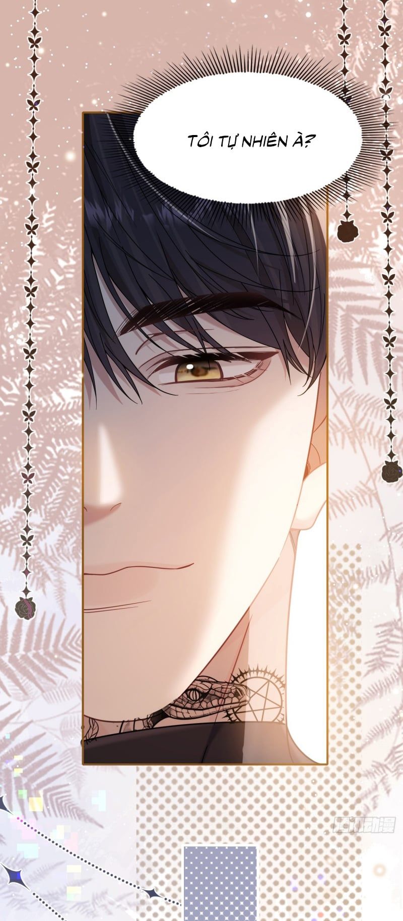 Tôi Cố Ý Giả Vờ Chap 9 - Next Chap 7