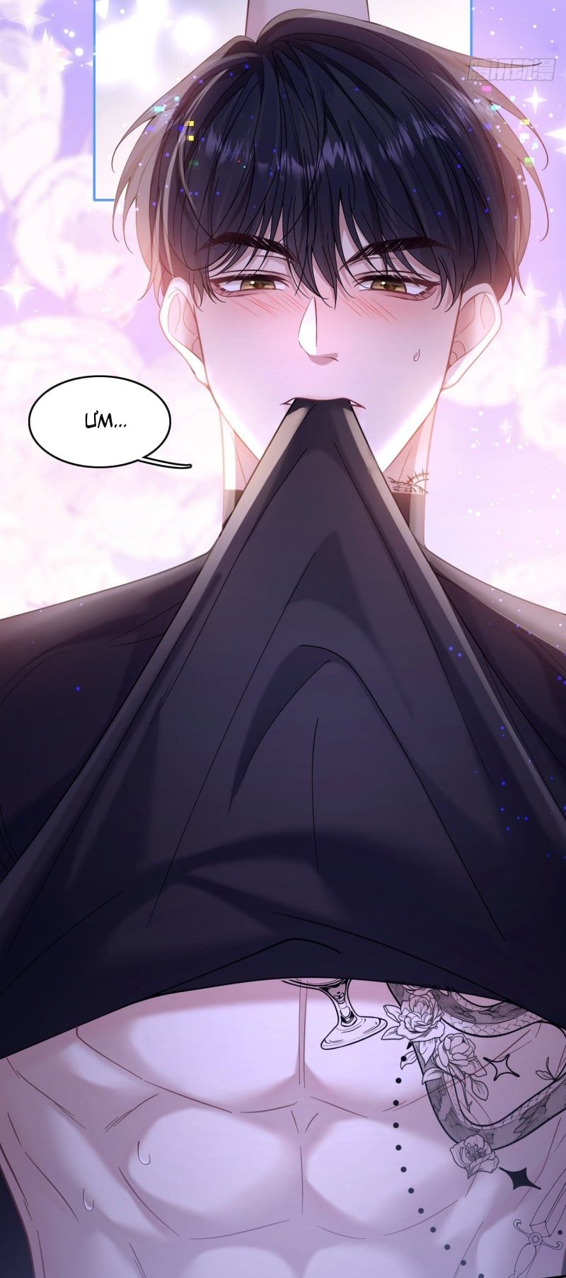 Tôi Cố Ý Giả Vờ Chap 9 - Next Chap 7