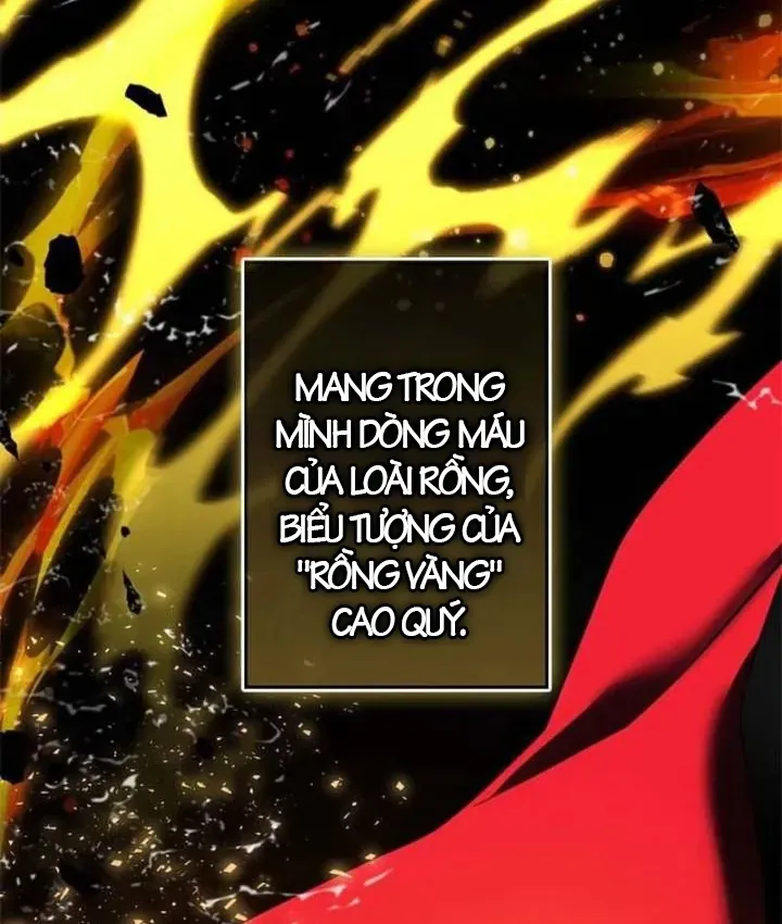 Chương 1 - Trang 14