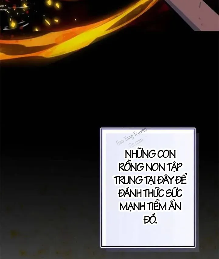 Chương 1 - Trang 17