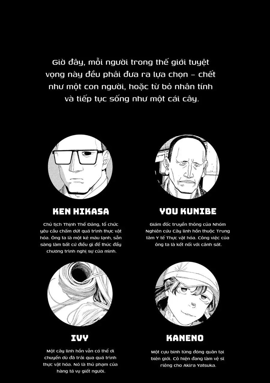 Đêm Của Kẻ Khờ