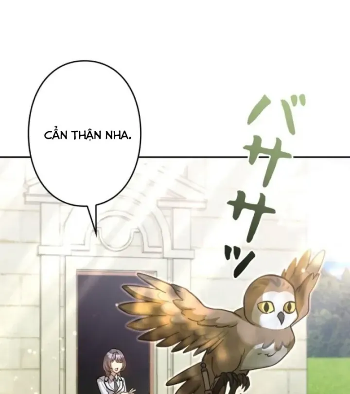 Các Nữ Anh Hùng Muốn Giết Tôi Một Anh Hùng [Chap 38-52] — trang 3