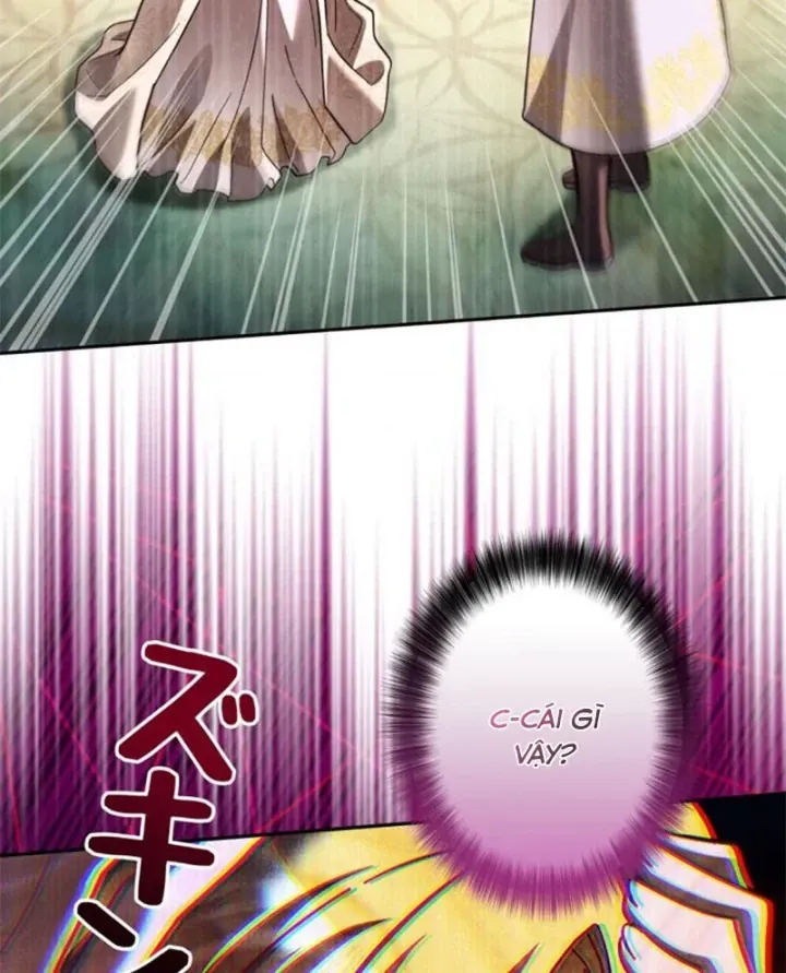 Các Nữ Anh Hùng Muốn Giết Tôi Một Anh Hùng [Chap 38-52] — trang 117