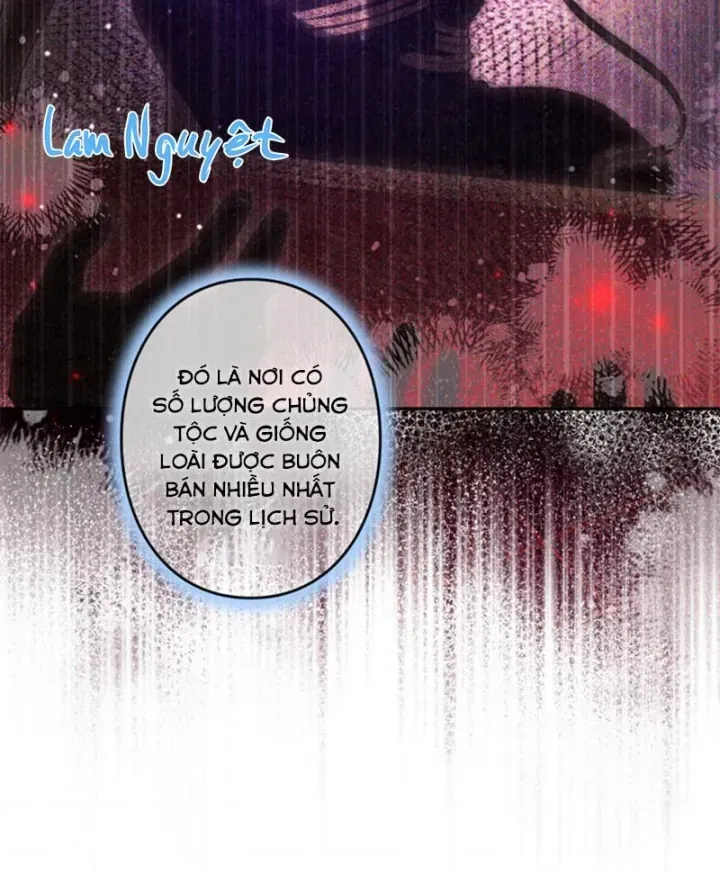 Các Nữ Anh Hùng Muốn Giết Tôi Một Anh Hùng [Chap 38-52] — trang 26