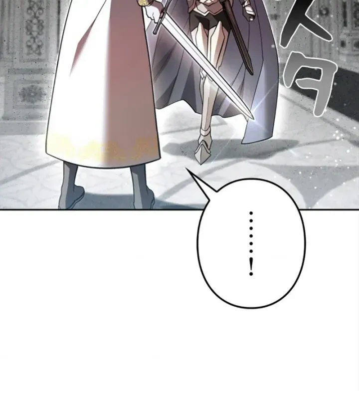 Các Nữ Anh Hùng Muốn Giết Tôi Một Anh Hùng [Chap 38-52] — trang 11