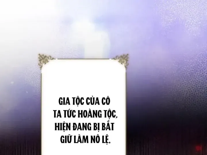 Các Nữ Anh Hùng Muốn Giết Tôi Một Anh Hùng [Chap 38-52] — trang 227