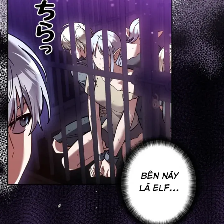 Các Nữ Anh Hùng Muốn Giết Tôi Một Anh Hùng [Chap 38-52] — trang 65