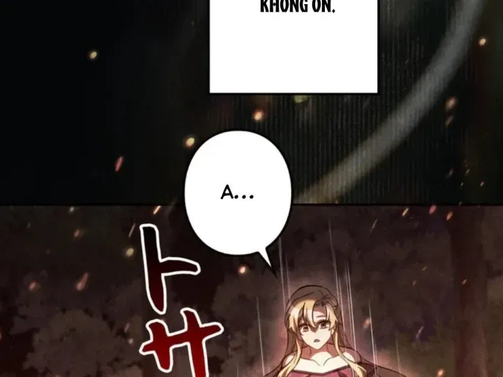 Các Nữ Anh Hùng Muốn Giết Tôi Một Anh Hùng [Chap 38-52] — trang 116