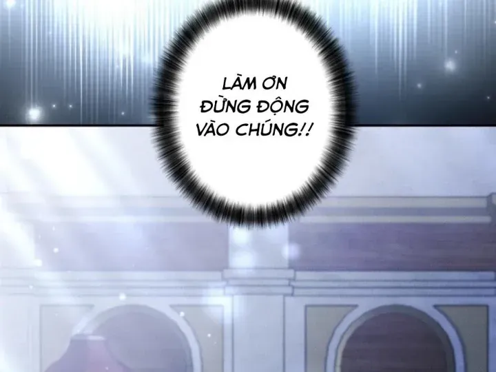 Các Nữ Anh Hùng Muốn Giết Tôi Một Anh Hùng [Chap 38-52] — trang 161