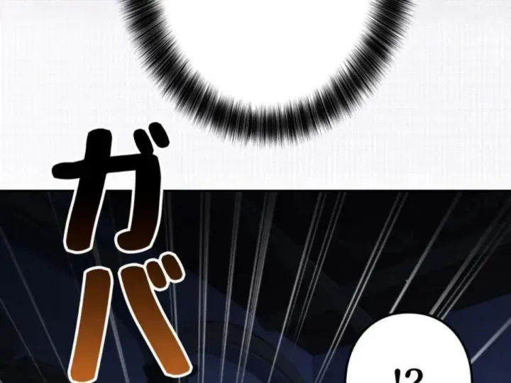 Các Nữ Anh Hùng Muốn Giết Tôi Một Anh Hùng [Chap 38-52] — trang 24