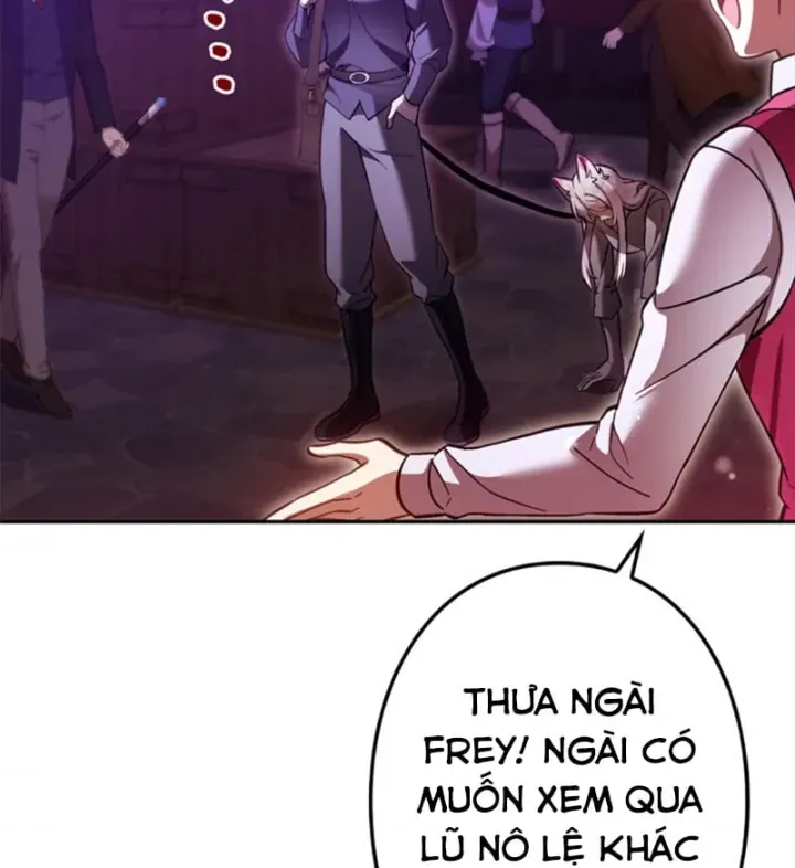 Các Nữ Anh Hùng Muốn Giết Tôi Một Anh Hùng [Chap 38-52] — trang 46