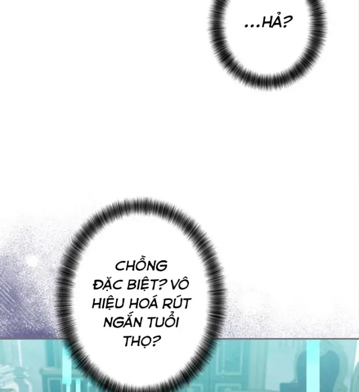 Các Nữ Anh Hùng Muốn Giết Tôi Một Anh Hùng [Chap 38-52] — trang 8