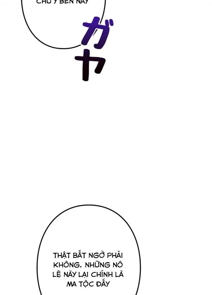 Các Nữ Anh Hùng Muốn Giết Tôi Một Anh Hùng [Chap 38-52] — trang 17