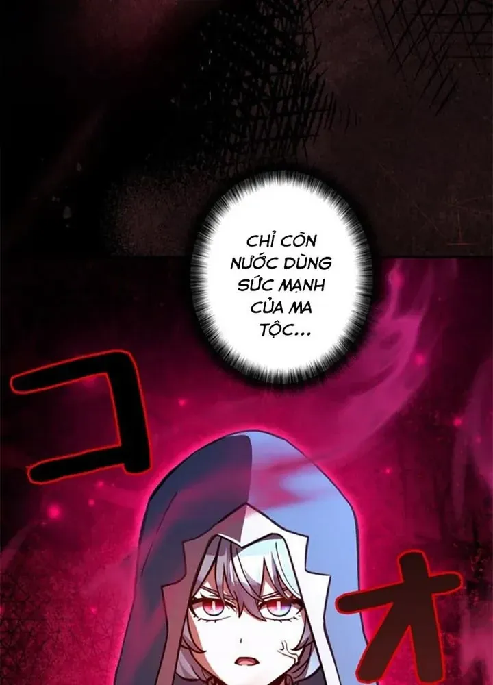 Các Nữ Anh Hùng Muốn Giết Tôi Một Anh Hùng [Chap 38-52] — trang 39