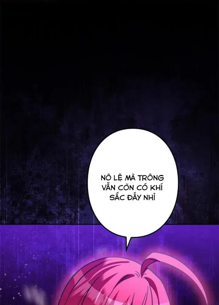 Các Nữ Anh Hùng Muốn Giết Tôi Một Anh Hùng [Chap 38-52] — trang 5