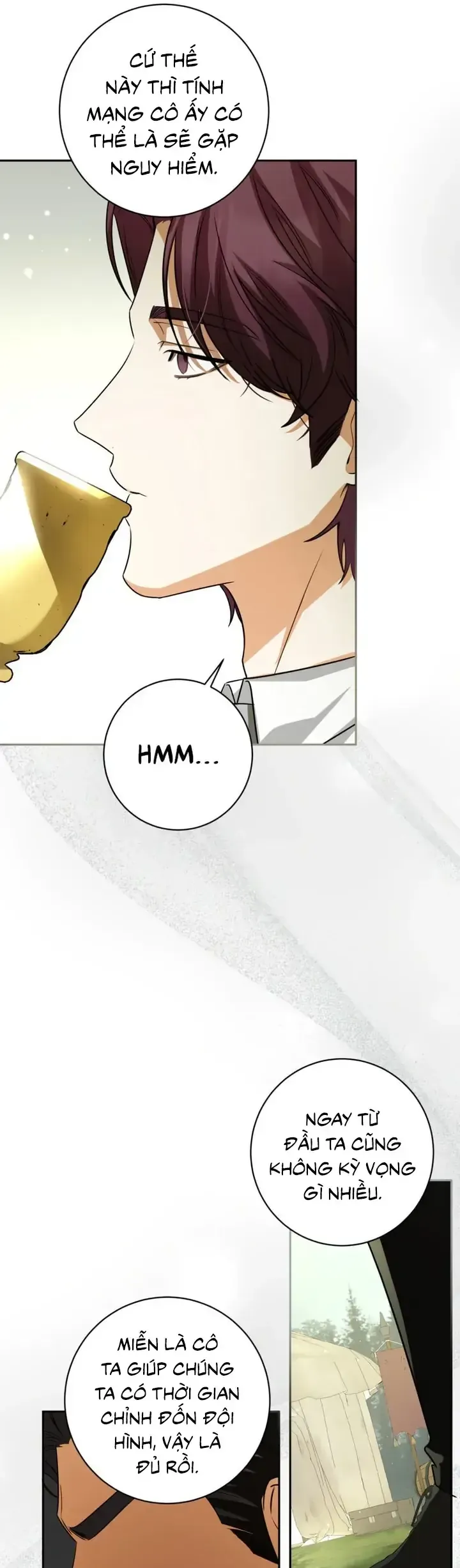 Hình Như Tôi Đã Xuyên Vào Cuốn Tiểu Thuyết Nào Đó [Chap 84-86] — trang 25