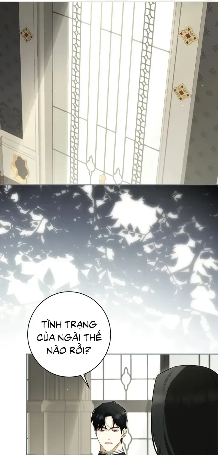 Hình Như Tôi Đã Xuyên Vào Cuốn Tiểu Thuyết Nào Đó [Chap 84-86] — trang 33