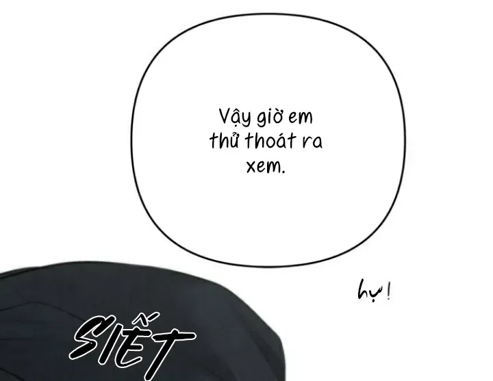 Hy Vọng Duy Nhất Chap 82 - Next Chap 81