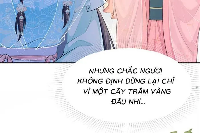 Sau Khi Báo Thù Tỷ Tỷ Ta Làm Hoàng Tử Phi Chap 6 - Next Chap 5