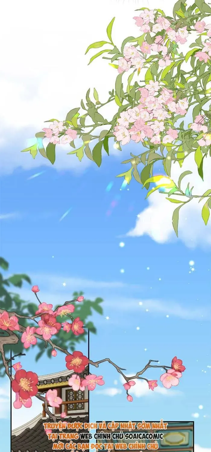 Sau Khi Báo Thù Tỷ Tỷ Ta Làm Hoàng Tử Phi Chap 6 - Next Chap 5