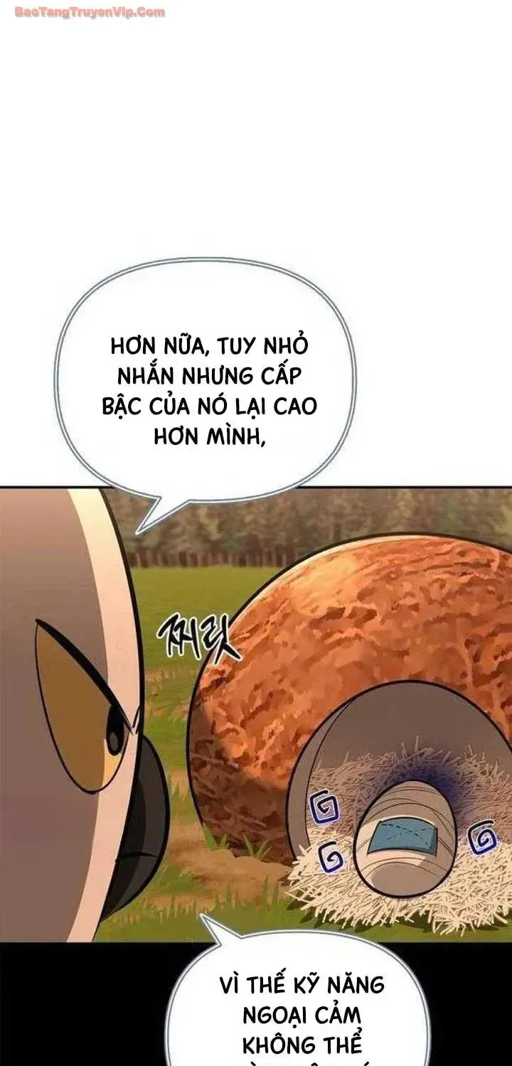 Trang 117