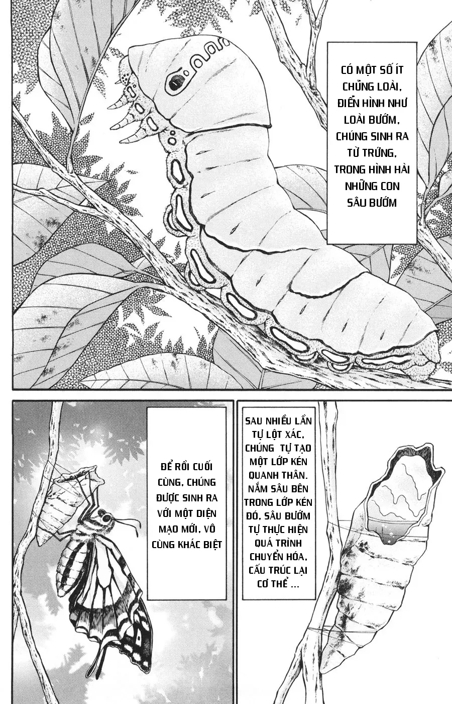 C.m.b - (Hồ Sơ Vụ Án Của Bảo Tàng Shinra)
