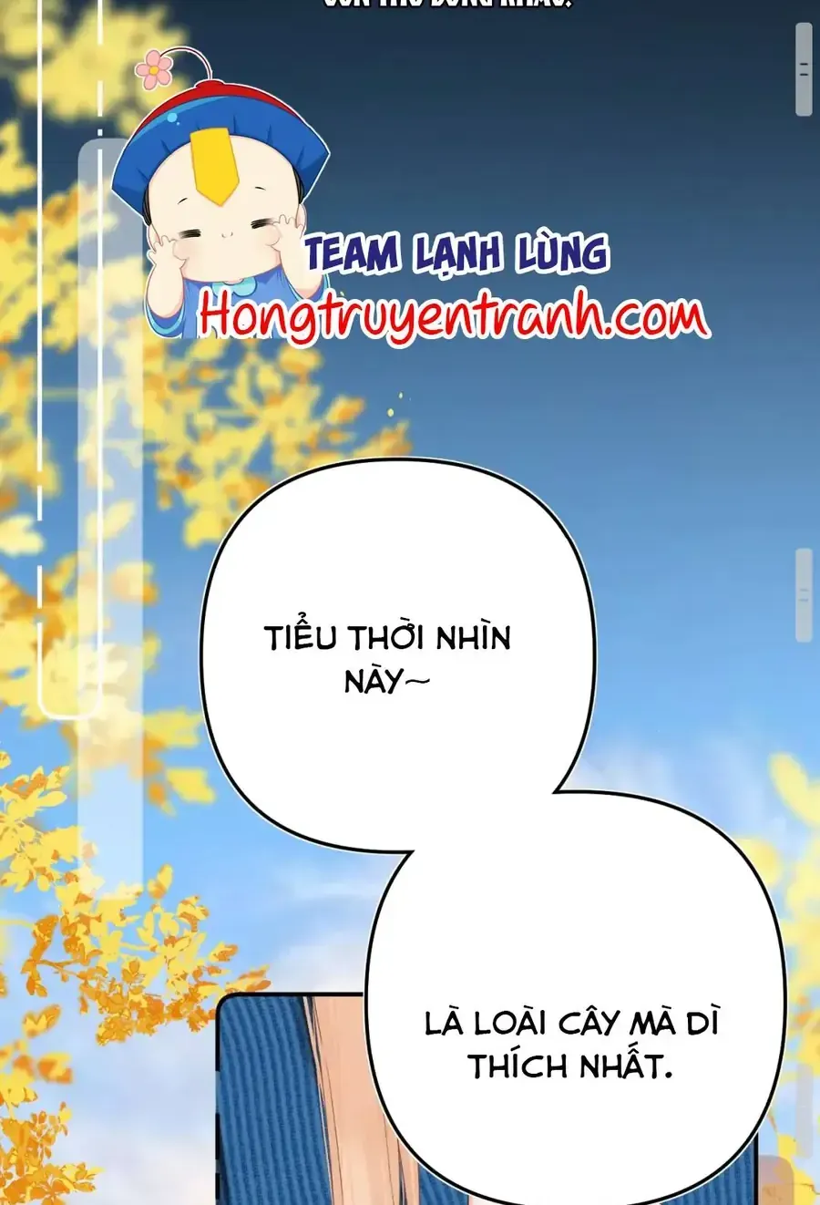 Thỉnh Đa Loan Chiếu Chap 51 - Next Chap 50