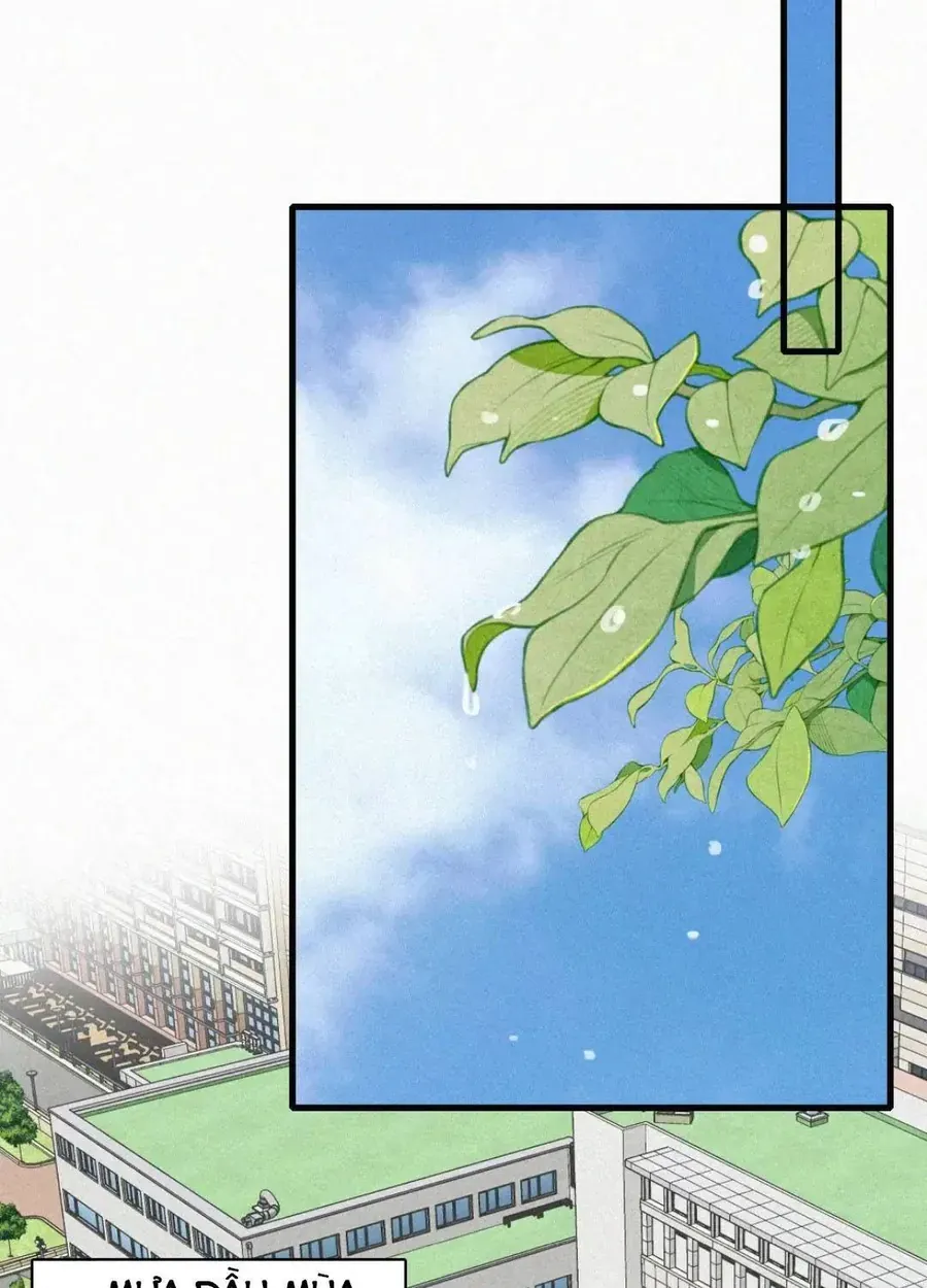 Bá Vương Sủng Ái Cô Vợ Mù Chap 199 - Next Chap 196
