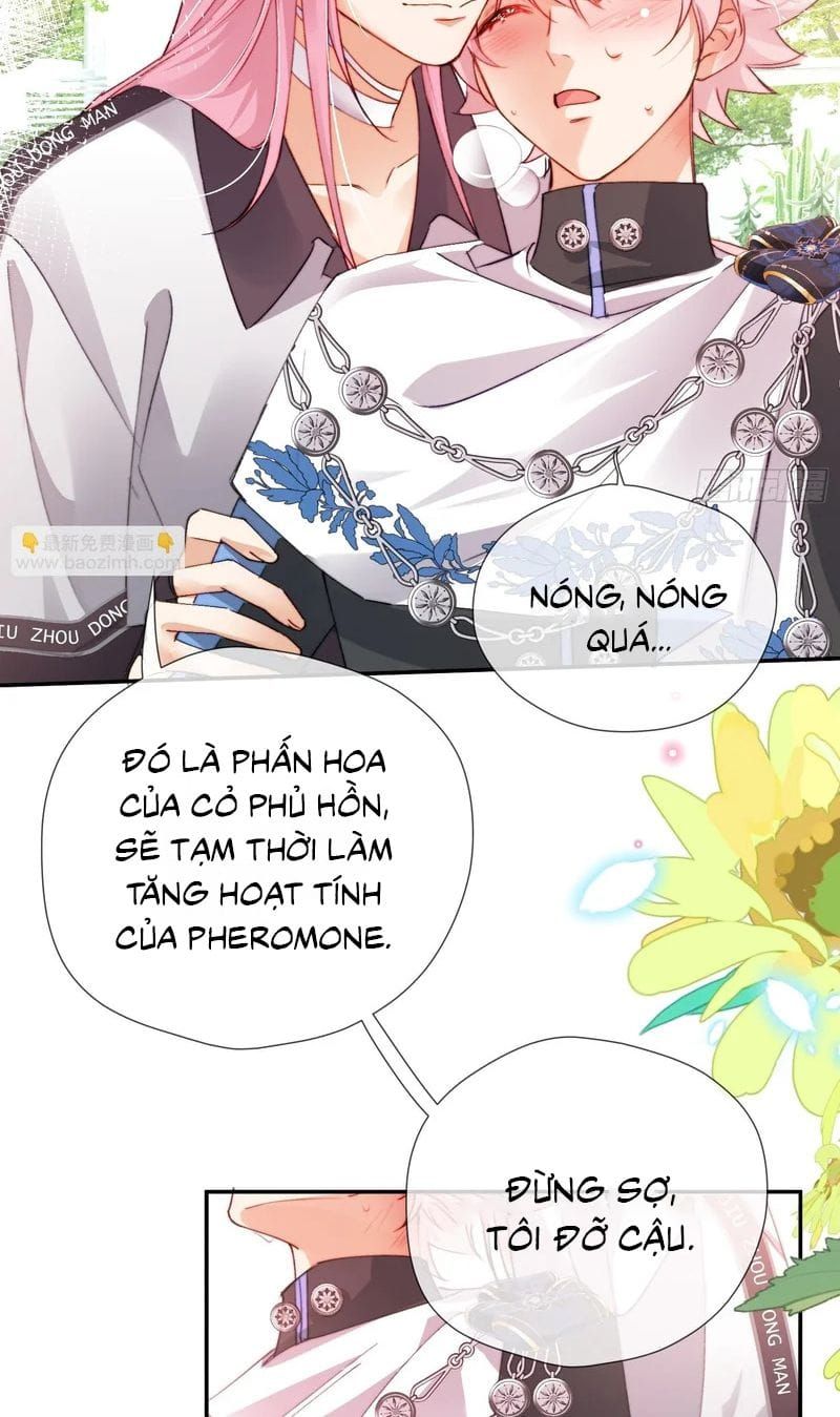 Trang 25