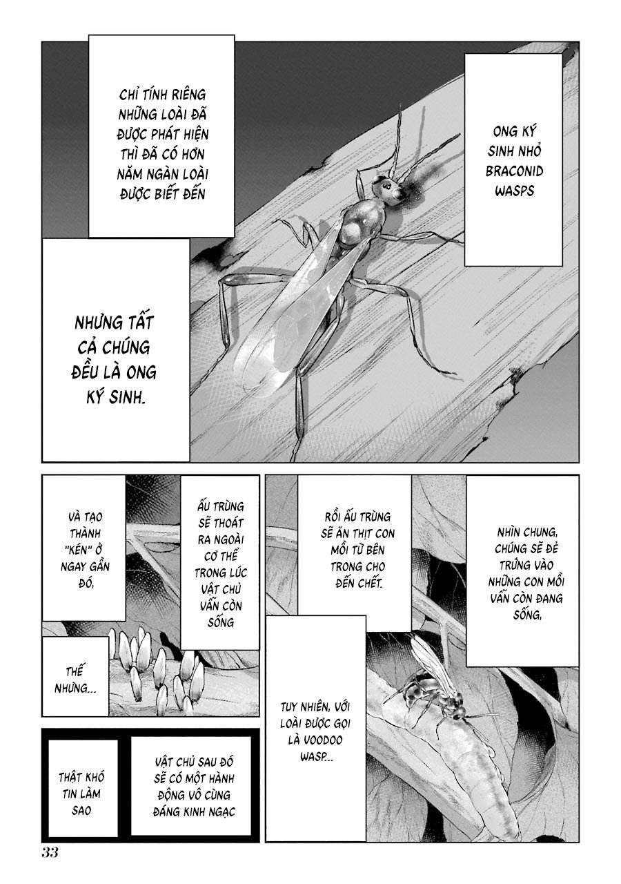 Choubu No Shinobi Chap 1