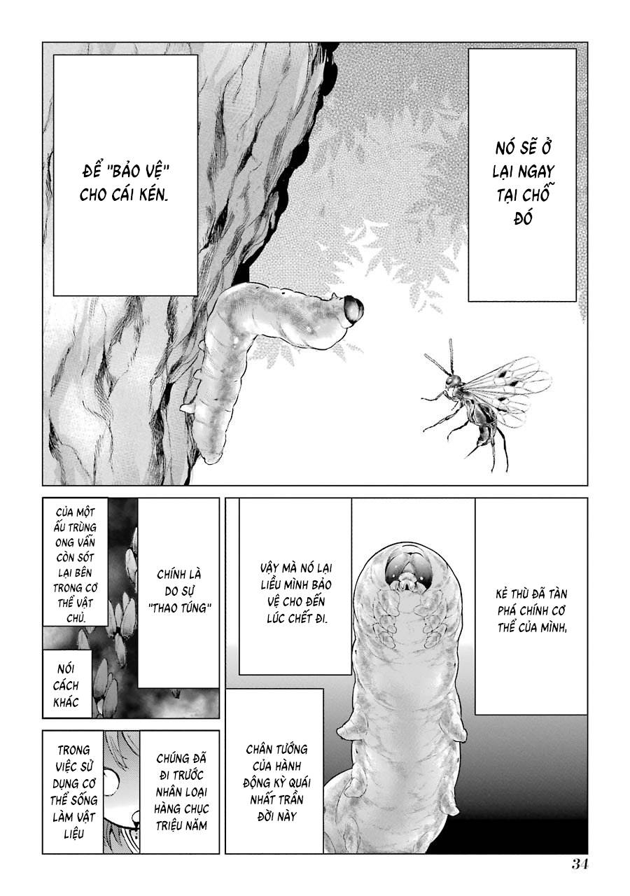 Choubu No Shinobi Chap 1