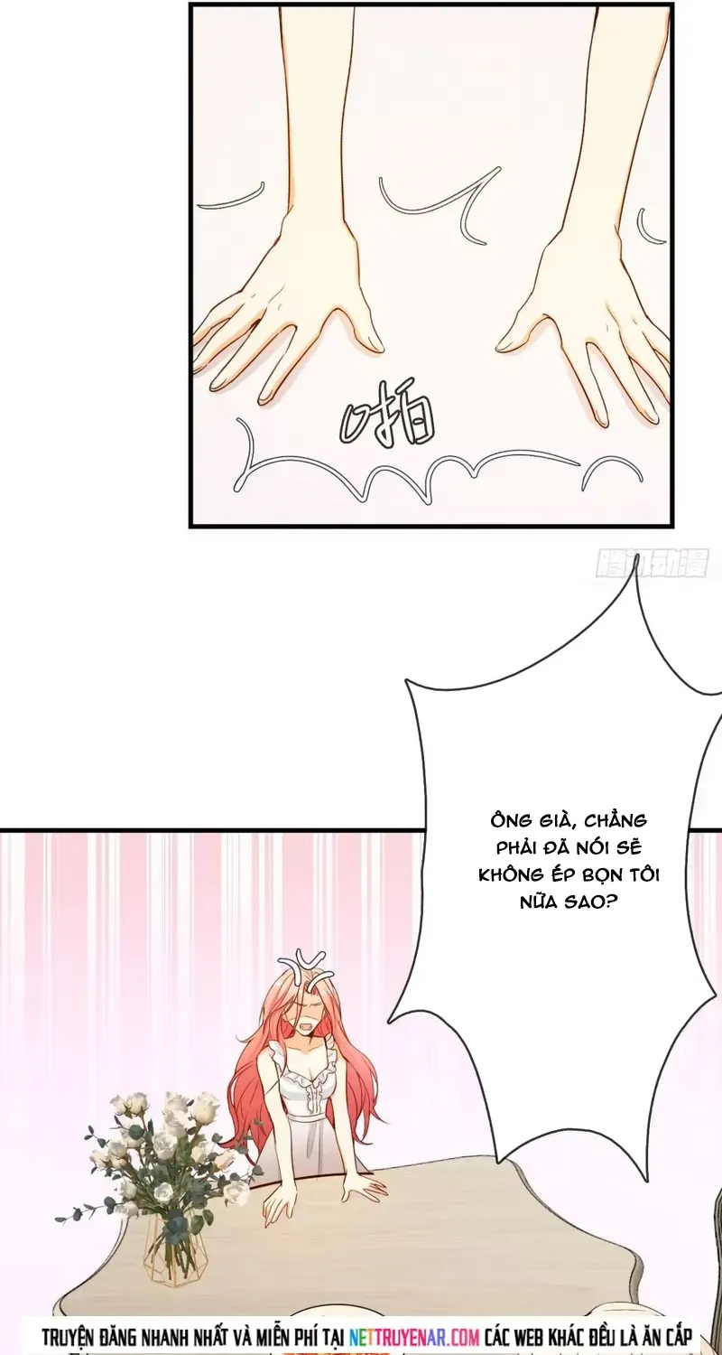 Cuộc Chiến Phía Sau Nhà Bếp Chap 85 - Next Chap 84