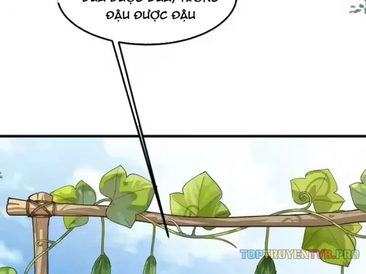 Thiết Lập Hình Tượng Nam Thần Sụp Đổ Rồi! Chap 37 - Next Chap 38