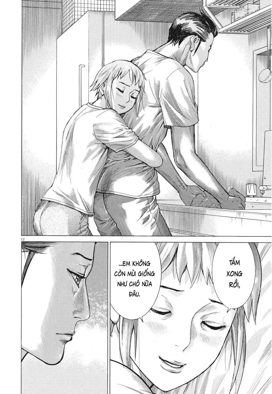 Đám Cưới Của Natsume Arata