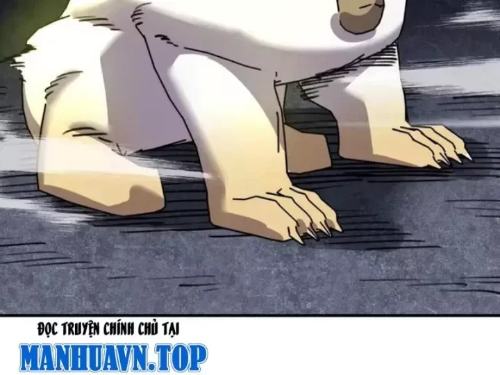 Bắt Đầu Chuyển Chức Tài Thần, Ta Chuyển Hóa Triệu Vạn Thần Sủng