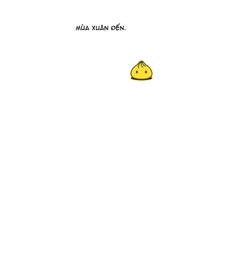 Free Draw