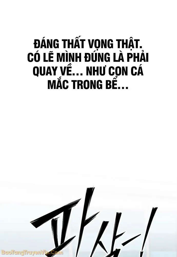 Dàn Harem Của Anh Bán Rong