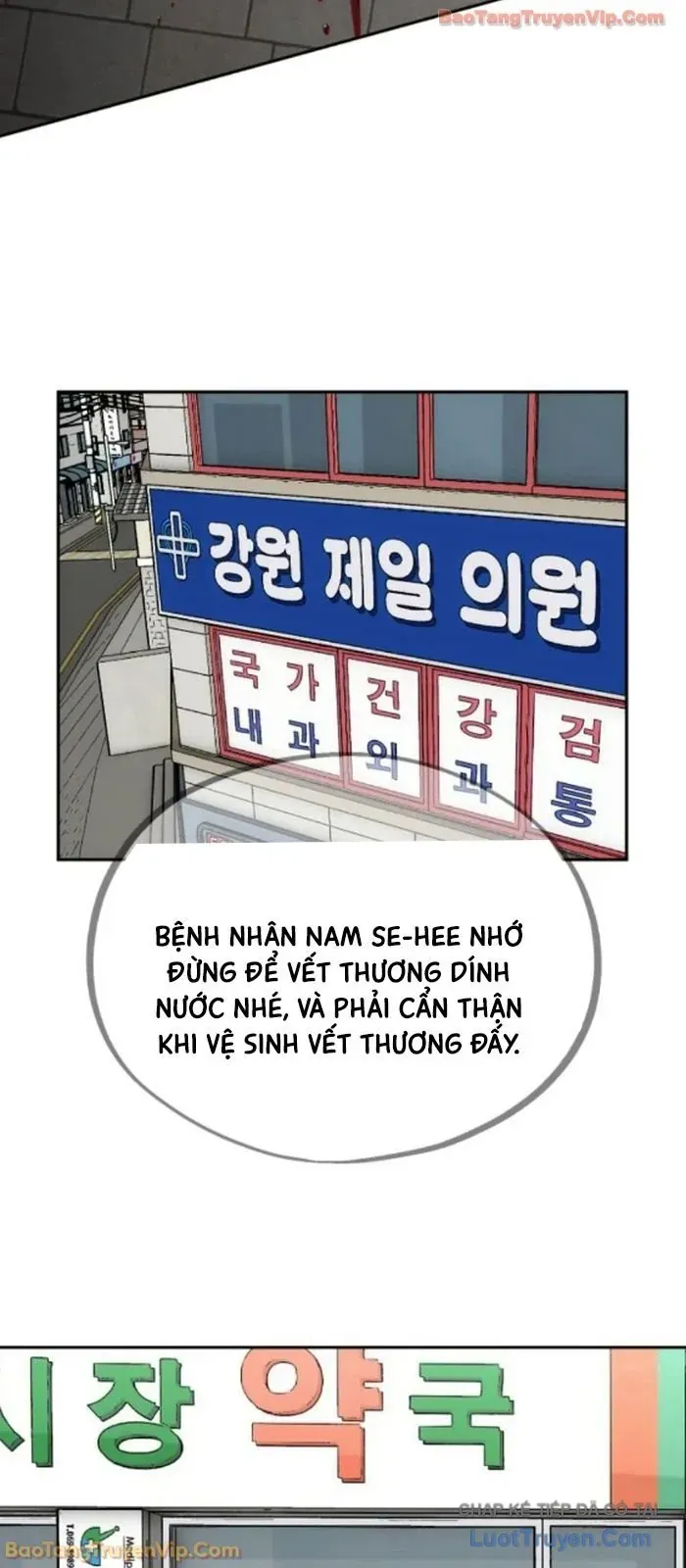 Dàn Harem Của Anh Bán Rong