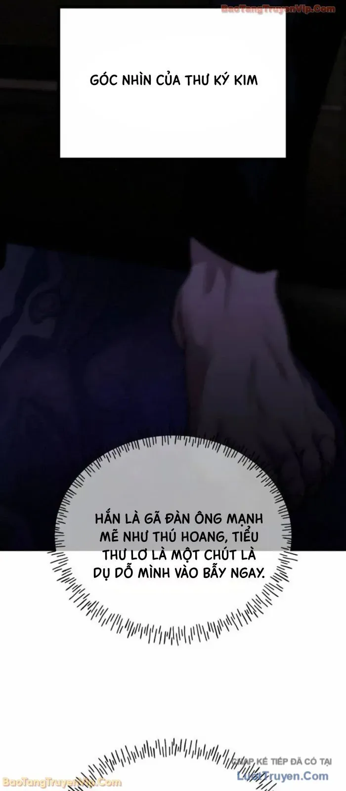 Dàn Harem Của Anh Bán Rong