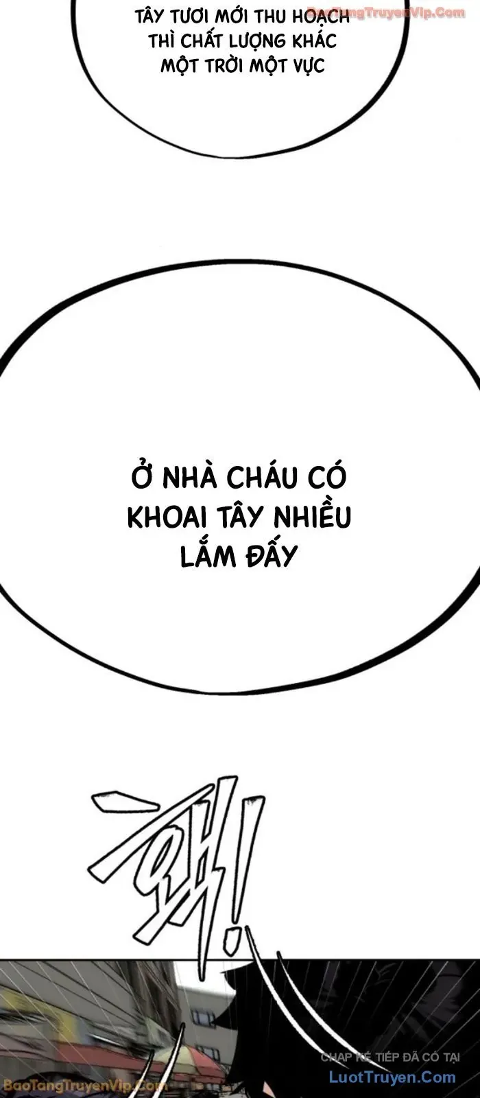 Dàn Harem Của Anh Bán Rong