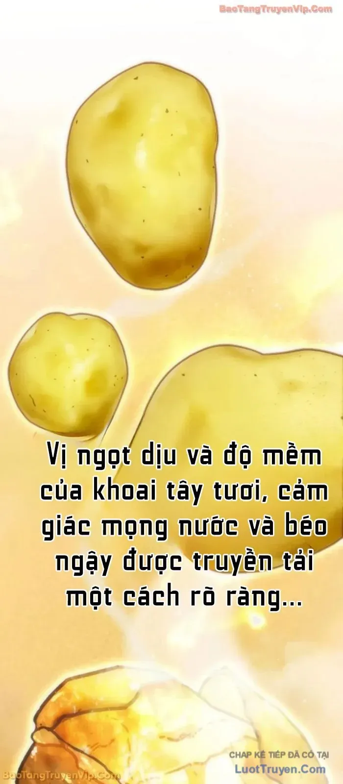 Dàn Harem Của Anh Bán Rong