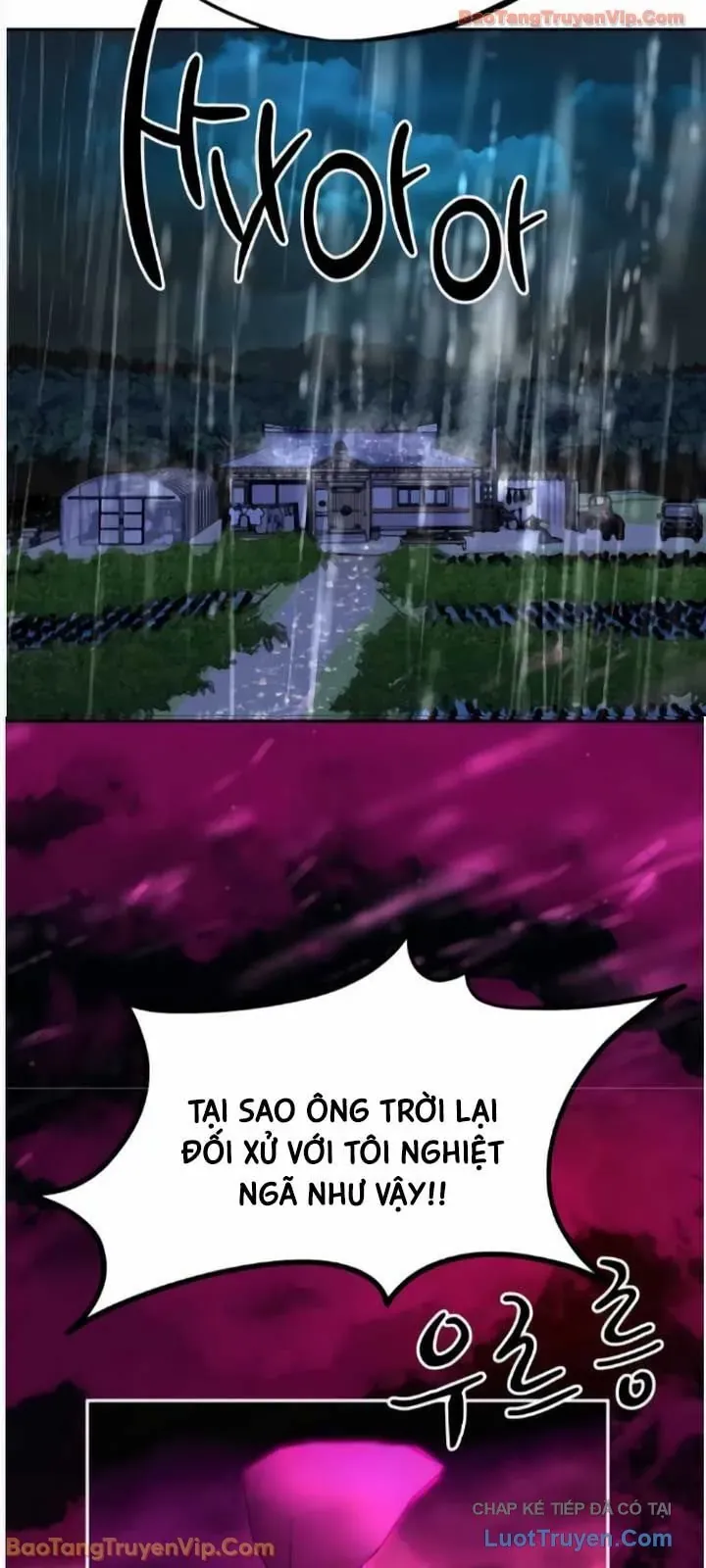 Dàn Harem Của Anh Bán Rong