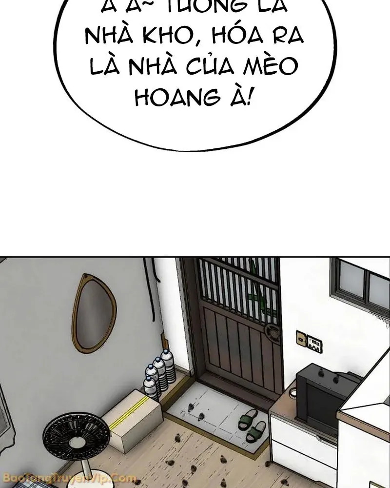 Dàn Harem Của Anh Bán Rong