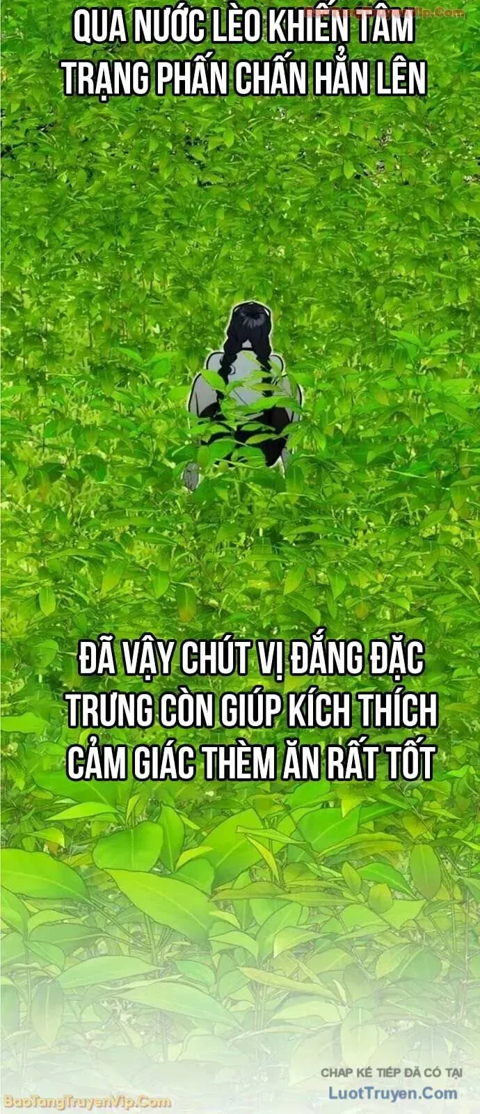 Dàn Harem Của Anh Bán Rong