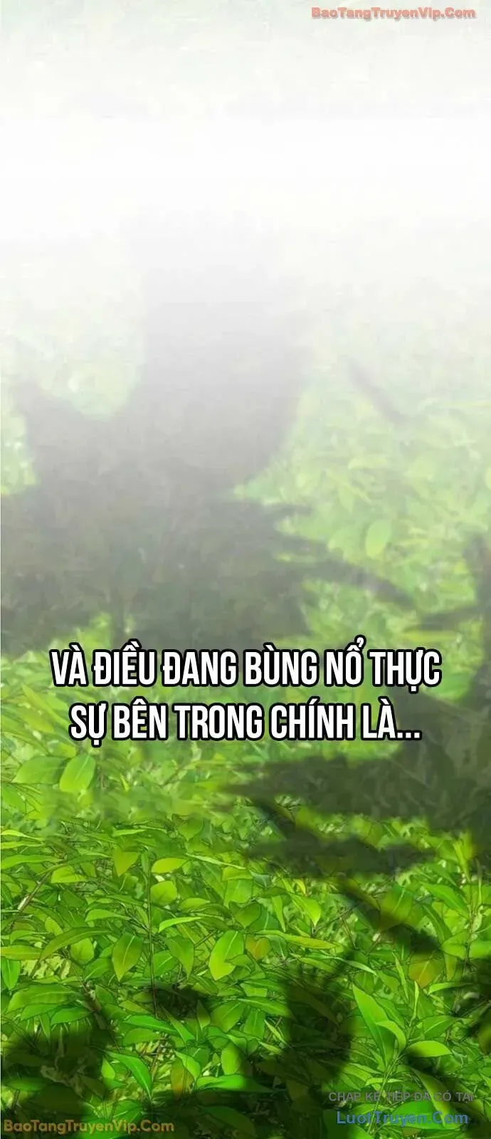 Dàn Harem Của Anh Bán Rong